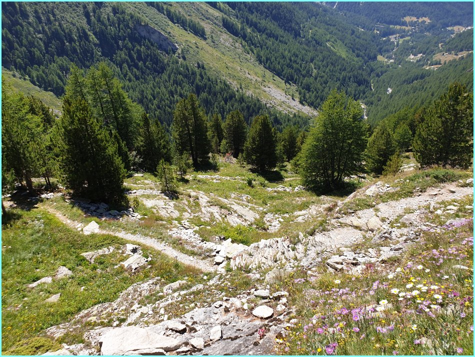 Petit Mont Cenins.jpg